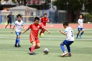 中证,吸金逾,沪深,乐竞体育官网,乐竞体育平台,乐竞体育链接,乐竞体育官方